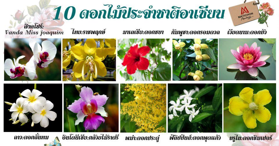 ดอกไม้ประจำชาติอาเซียน.jpg