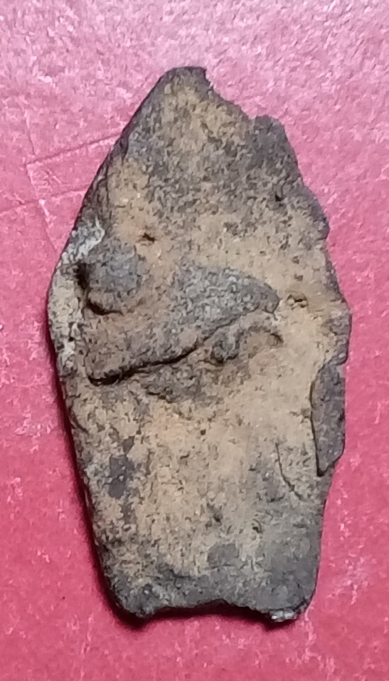 20260313_203327.jpg