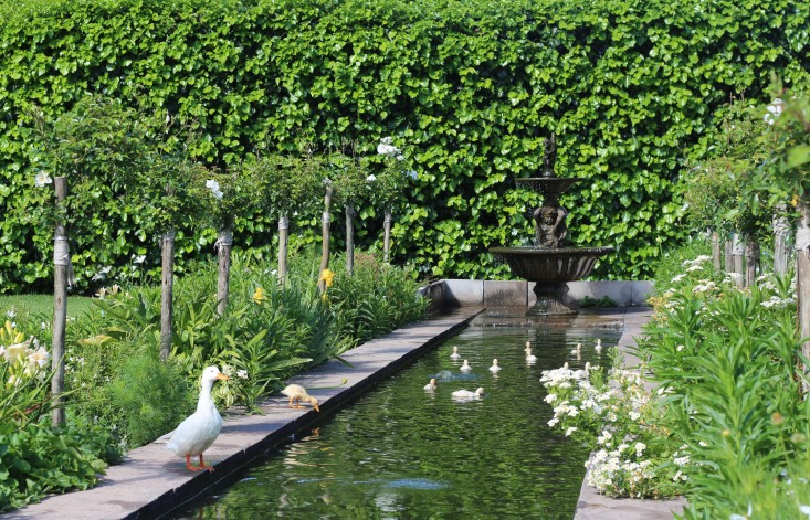 canal-Cellars-Hohenort-Marie-Viljoen-Gardenista.jpg