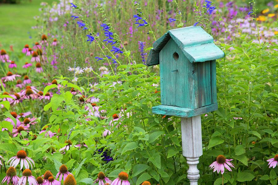 Friday blue-birdhouse-in-f.jpg