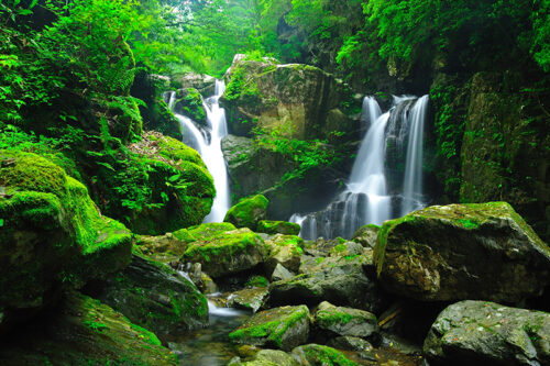 Nature_Spots_Falls_02-500x333.jpg