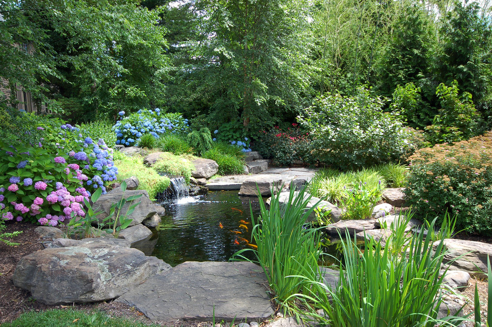 Pondworks_koi+pond_garden_fish_design+build.jpg