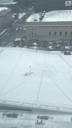 spider-web-in-snow.gif