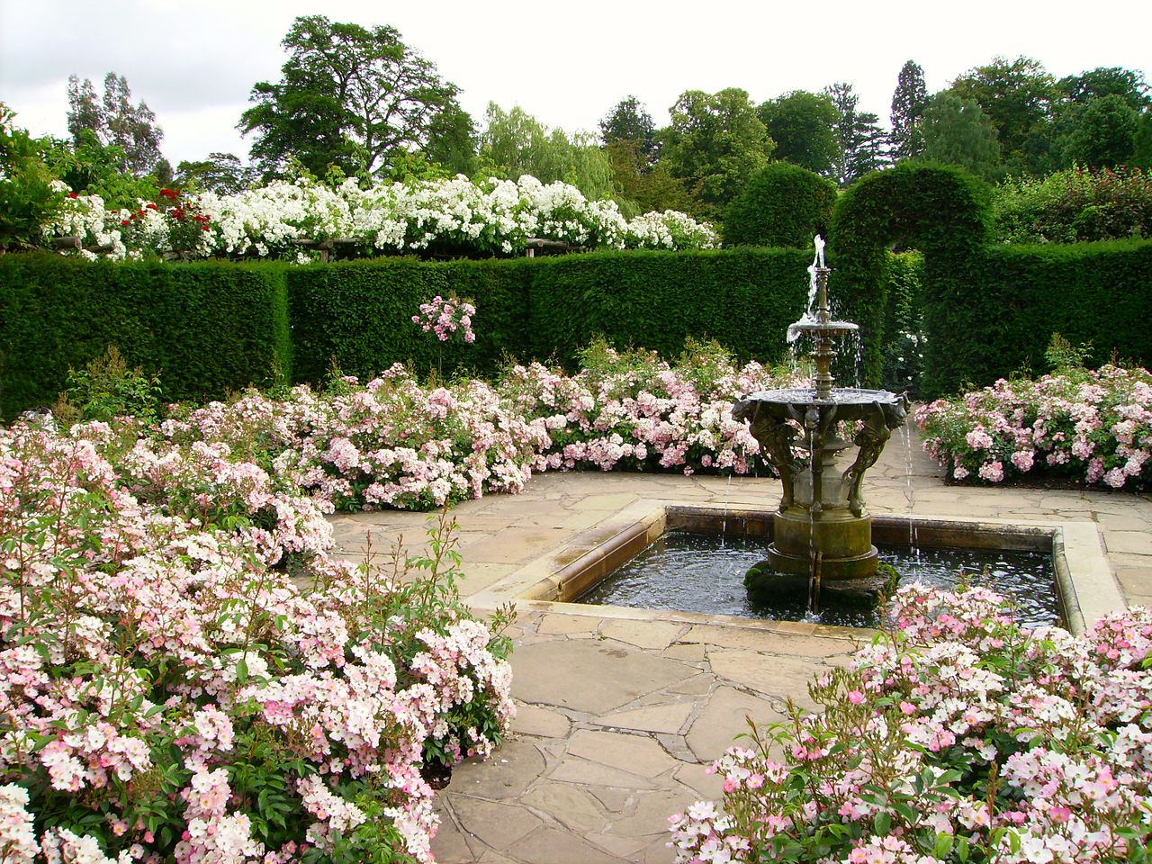 Tuesday Castle_rose_garden_with_fountain.JPG