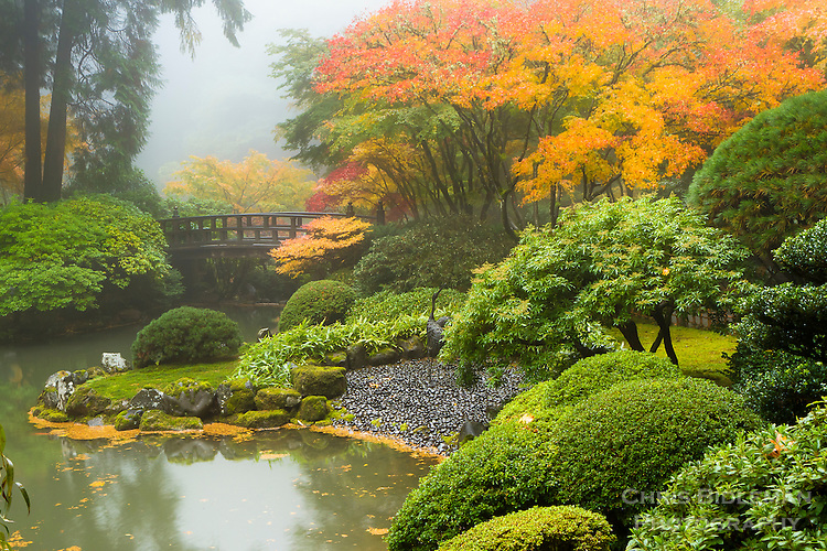 Upper-pond-in-Fall-and-Fog-in-Japanese-Garden.jpg